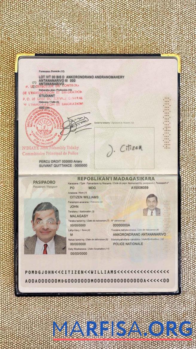 Realistic Madagascar passport photo look real example